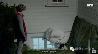 挪威的呻咛在线观看,在线揭秘北欧神秘声音之旅  第3张