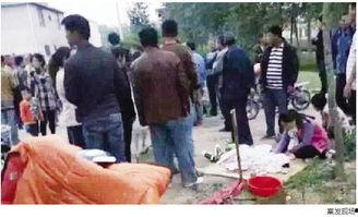 邳州事件爆料最新消息,真相逐步浮出水面,官方回应引关注 第2张 邳州事件爆料最新消息,真相逐步浮出水面,官方回应引关注 第2张