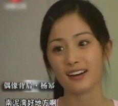 杨幂韩国爆料视频大全集,揭秘明星幕后故事